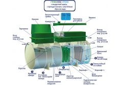 ГРИНЛОС Профи 10
